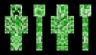 Become Minecraft's most infamous hostile mob (Image via Joy-Cloud/NameMC)